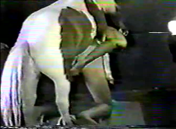 Video: Beastiality lover's anus got smashed with big horse dick